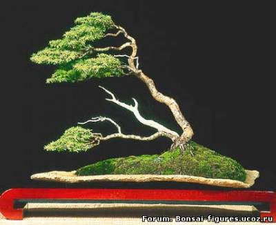 http://bonsai-figures.ucoz.ru/_fr/0/s2270632.jpg